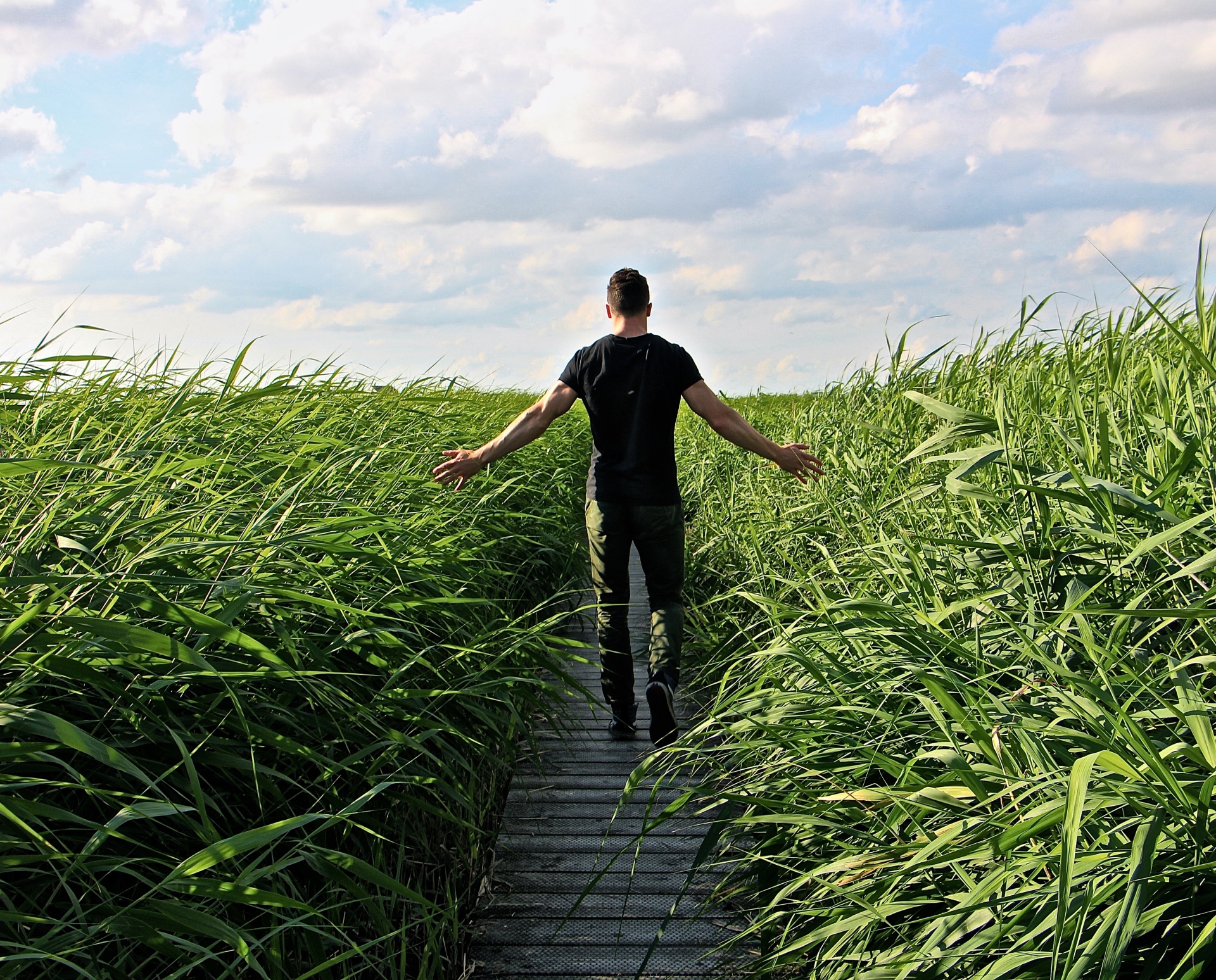 recuperación de depresión