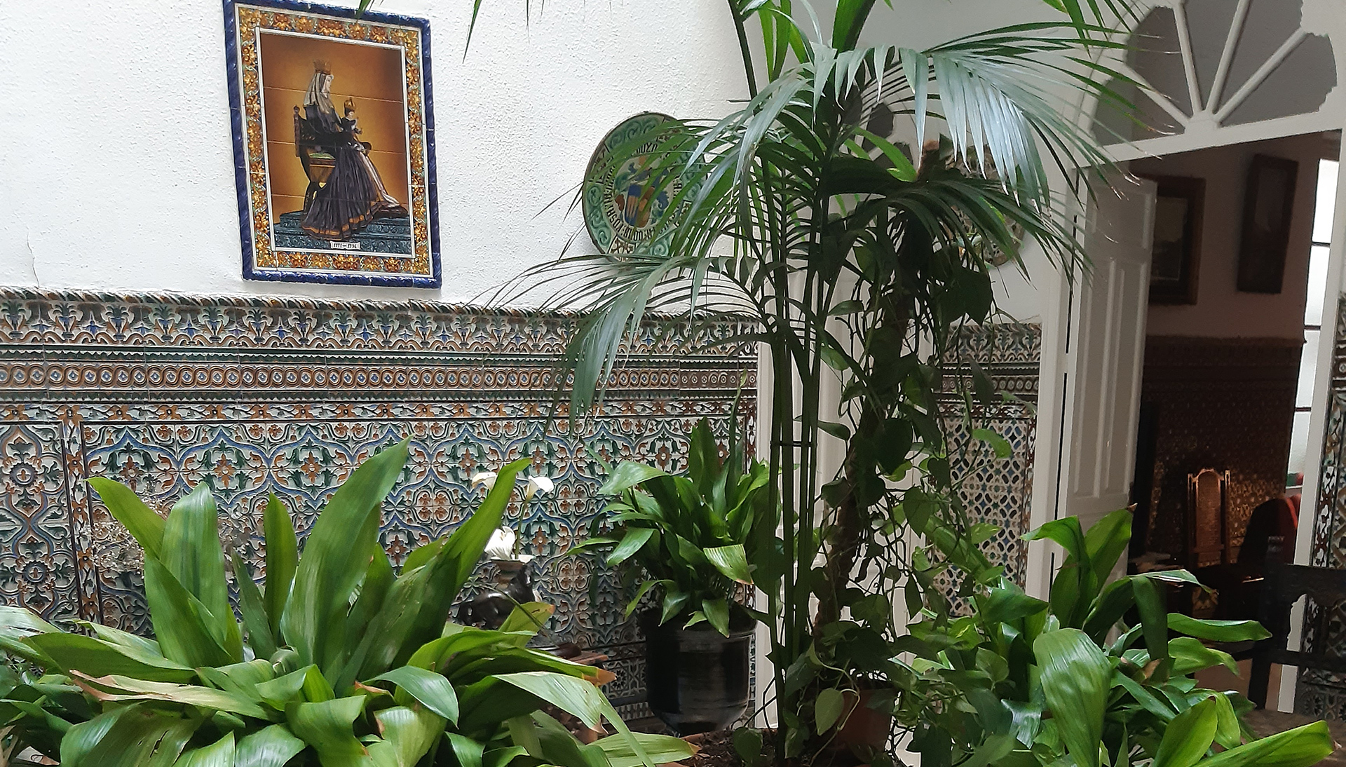 atención presencial en consulta